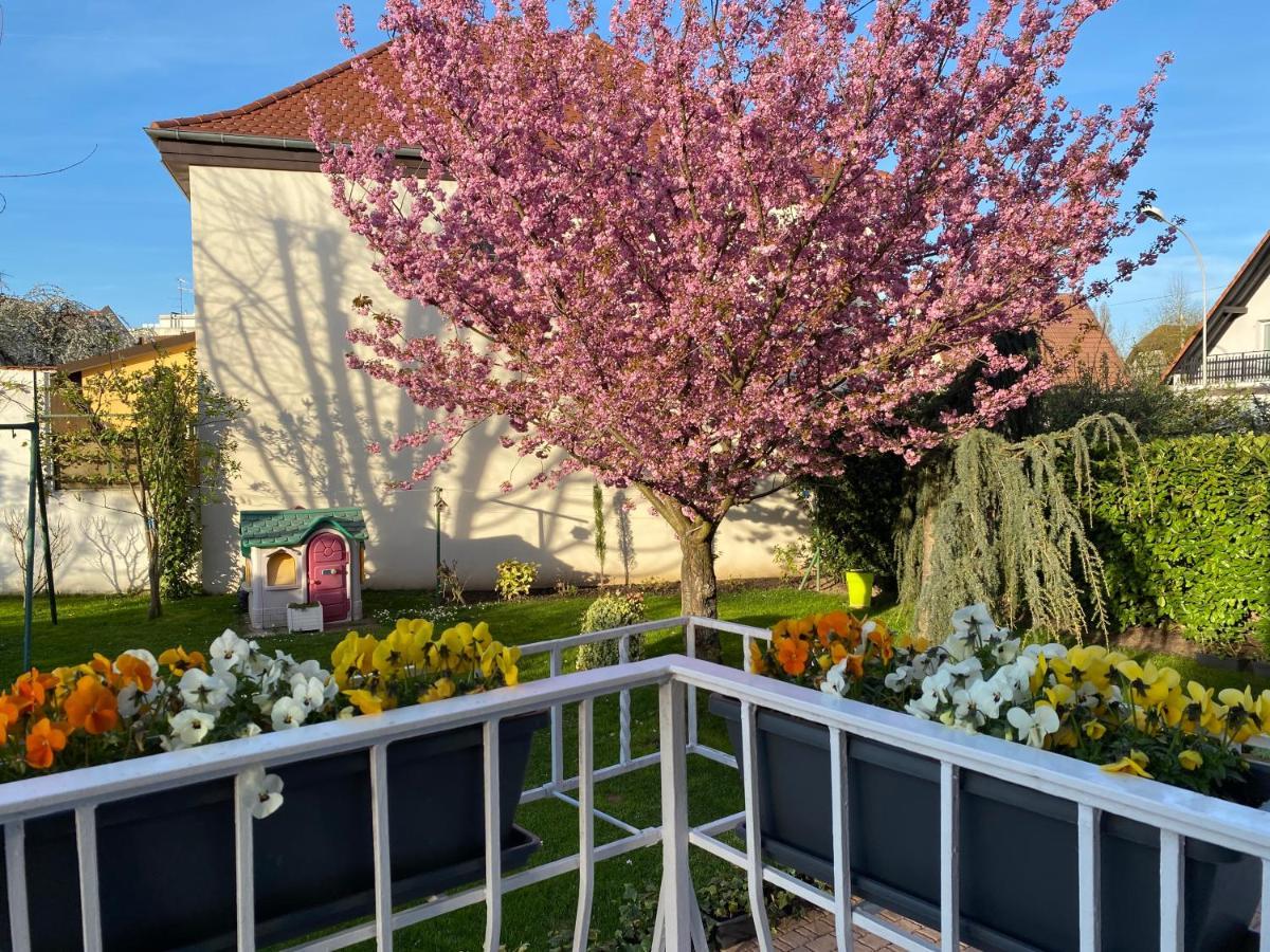 Appartement Le Jardin Lingolsheim Exteriér fotografie