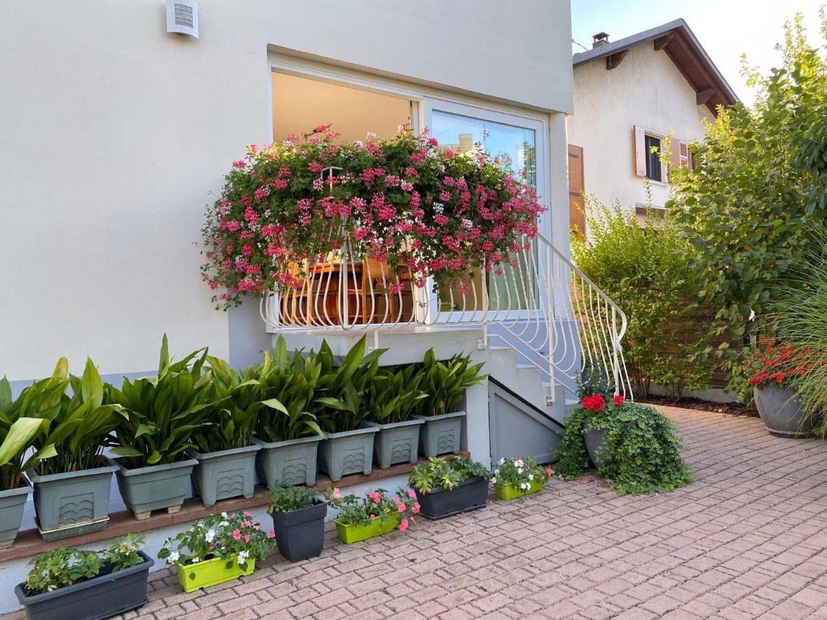 Appartement Le Jardin Lingolsheim Exteriér fotografie