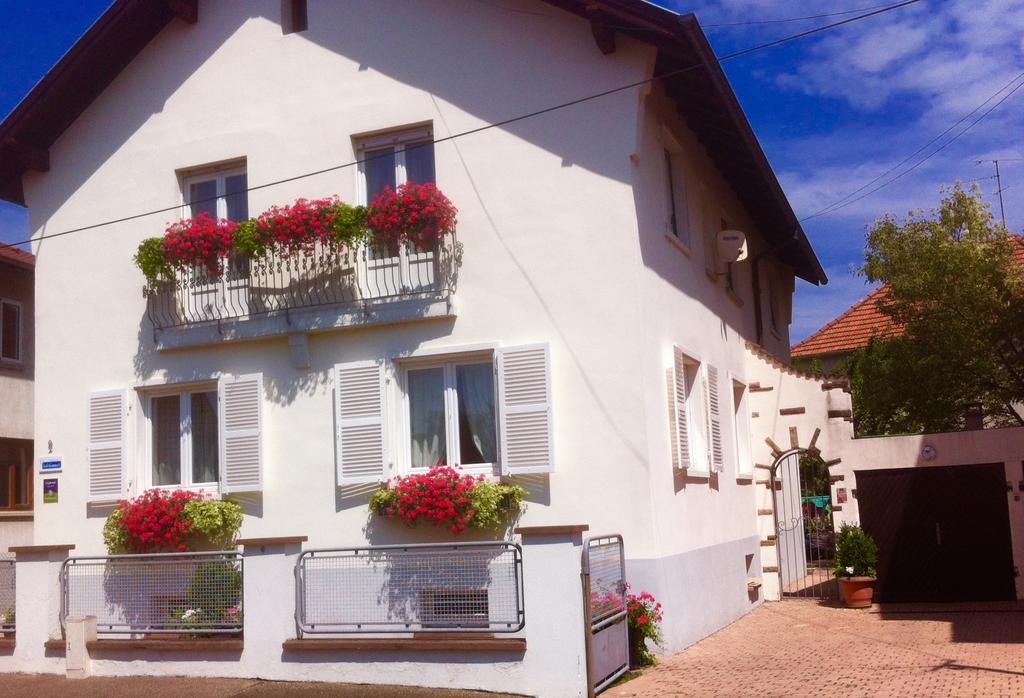 Appartement Le Jardin Lingolsheim Pokoj fotografie
