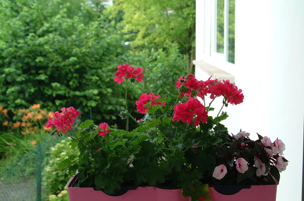 Appartement Le Jardin Lingolsheim Pokoj fotografie