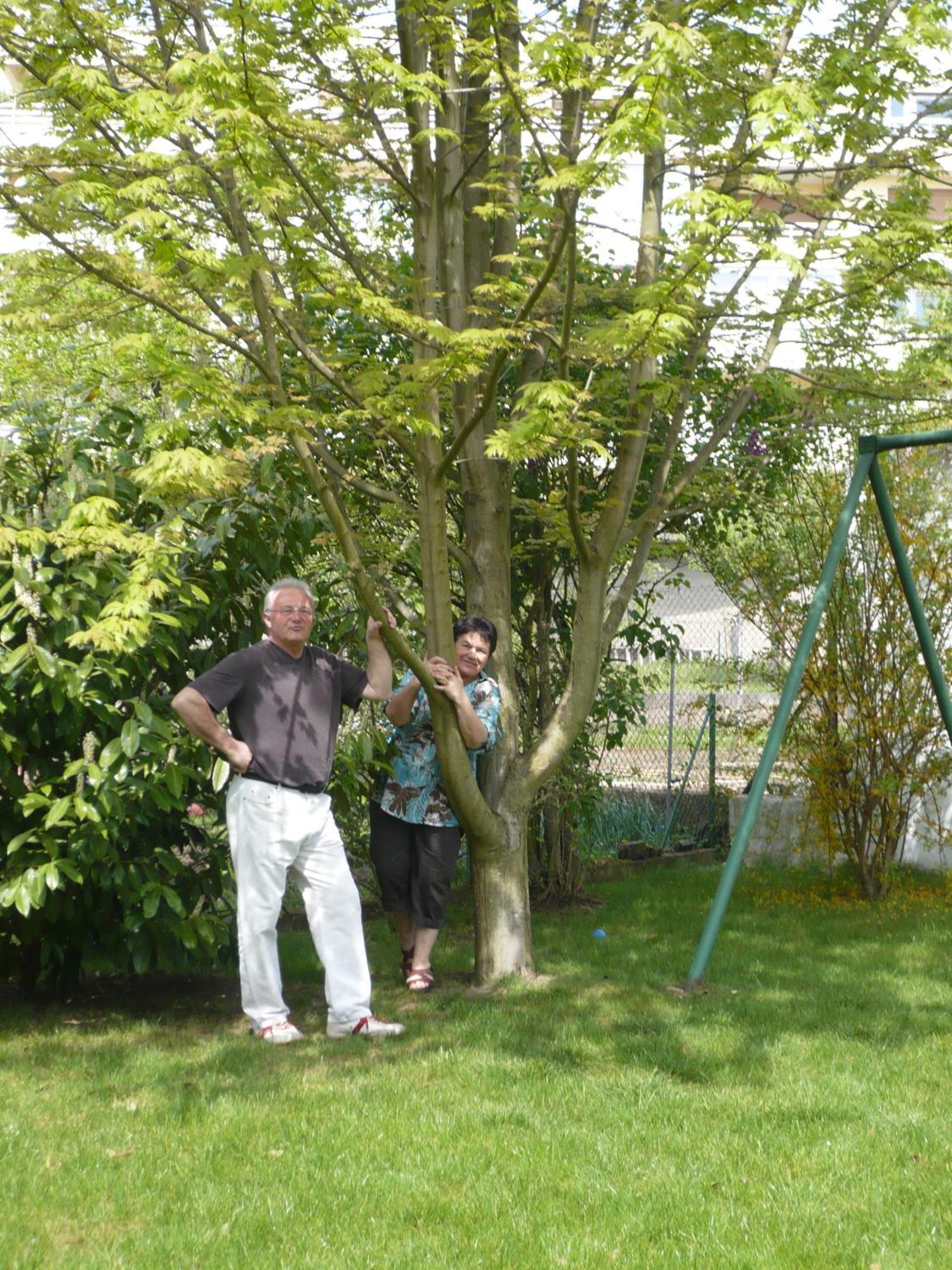 Appartement Le Jardin Lingolsheim Exteriér fotografie