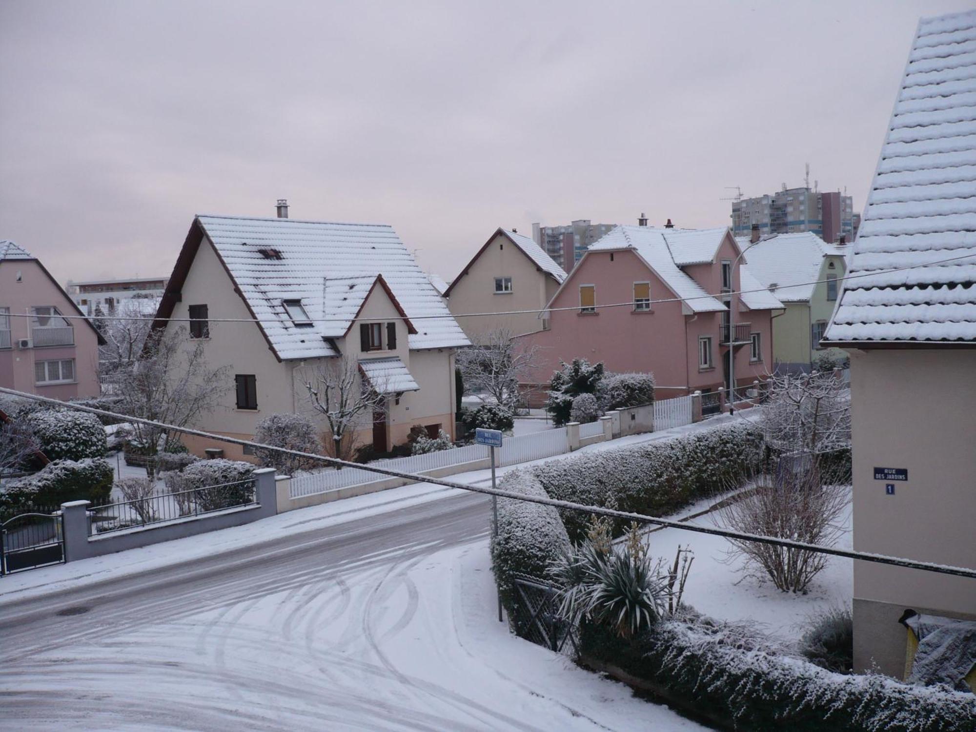 Appartement Le Jardin Lingolsheim Exteriér fotografie